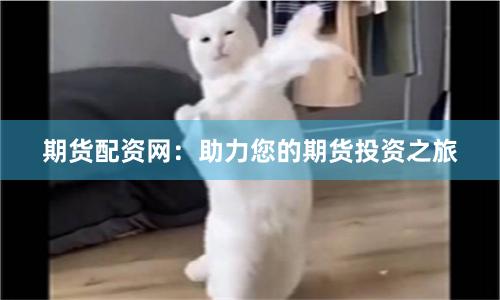 期货配资网：助力您的期货投资之旅