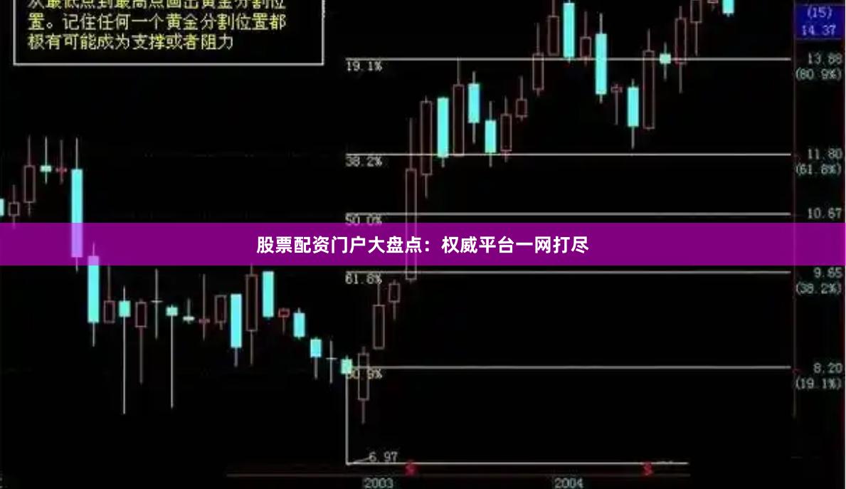 股票配资门户大盘点：权威平台一网打尽